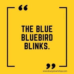 The blue bluebird blinks.